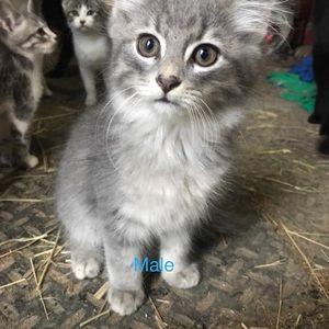 Meet your Posher, Kristin